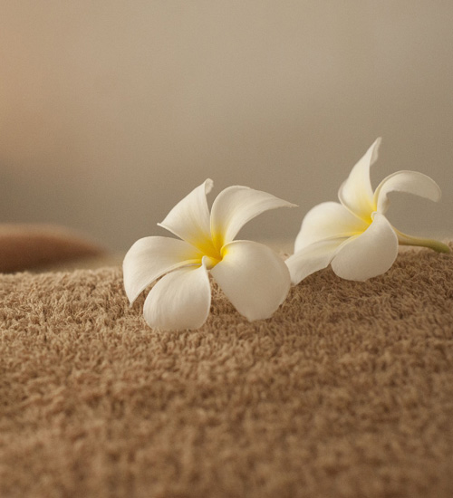 ご利用の流れ 2 : エルミタージュ(姫路発/性感エステ)の画像