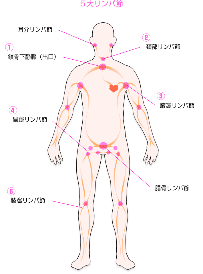 5大リンパ節 : えちちSPA-えっちな回春性感マッサージ-大阪店(日本橋発/性感エステ)の画像