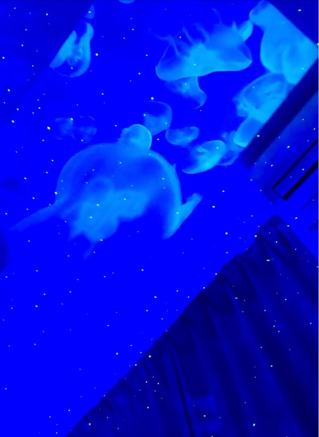 雰囲気から癒しを。幻想的なルームです:ムーンライト Moonlight(奈良市/リラクゼーションサロン)の画像