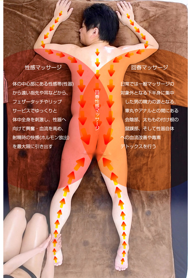 【回春】と【性感】の違い : えちちSPA-えっちな回春性感マッサージ-神戸店(三宮発/性感エステ)の画像