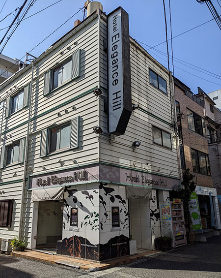 PINK SAPPHIRE ピンクサファイアの体験談 画像step.2