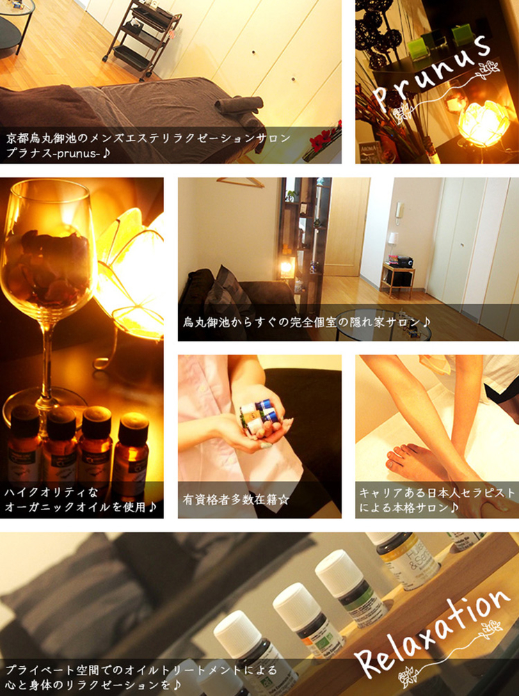 プラナス Prunusの体験談 画像step.2