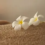 ご利用の流れ 2 エルミタージュのフォト(小)