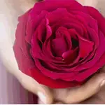 全身の官能マッサージタイム バイオレット Violetのフォト(小)