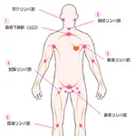 5大リンパ節 えちちSPA-えっちな回春性感マッサージ-大阪店のフォト(小)