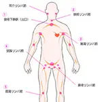 5大リンパ節 極楽ばなな 京都店(休業中)のフォト(小)