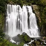 EXCITE JACKご利用規約 エキサイトジャック ​興奮する紳士のフォト(小)