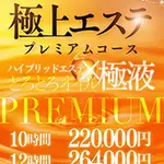 極上エステプレミアムコース 新ハイブリッドエステ エクスタシーPLUSのフォト(小)