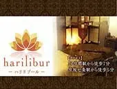 ハリリブール mrs.harilibur