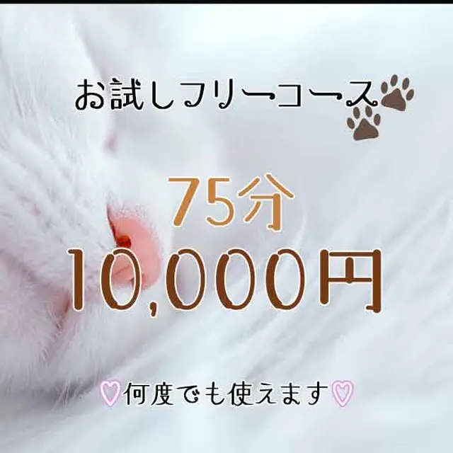 お得に遊ぶなら今がチャンス！！｜限定クーポン