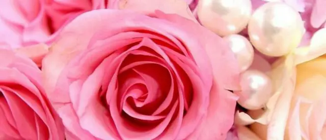 :フォーチュンラブハウス(大国町/リラクゼーションアロマセラピー)のフォト(写真)