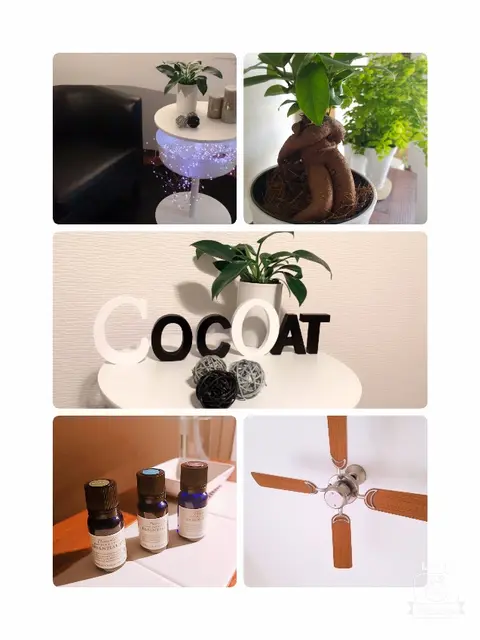 最上級の｢接客｣｢マナー｣でおもてなし:ココアット COCOAT 姫路本店(姫路/アロマエステ)のフォト(写真)