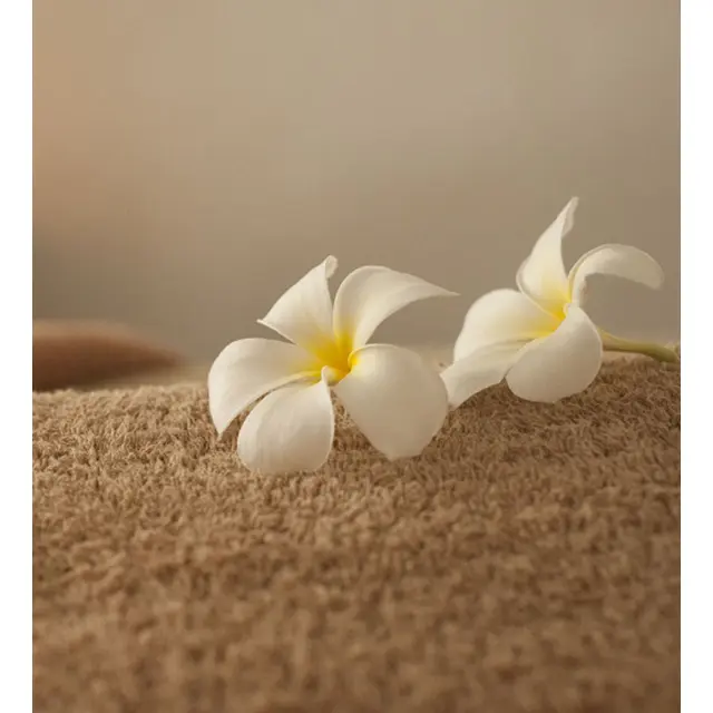 ご利用の流れ 2 : エルミタージュ(姫路発/性感エステ)のフォト(写真)